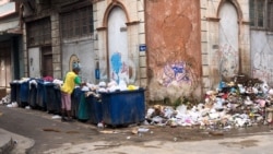 Virus del Oropouche en Cuba Virus del Oropouche en Cuba