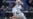 16x9 Image