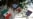 Cuba NO se anexará a México, como se afirma en videos virales