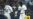 Cubanos Yandy Díaz y Randy Arozarena serán titulares en el Juego de las Estrellas