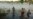Rescatan a madre cubana y su hijo atrapados por la corriente en el Río Bravo (VIDEO)