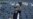 Legendario capitán de NY Yankees, Derek Jeter, va a Cuba con Obama
