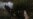 Capturados 20 migrantes cubanos escondidos en un hotel del centro de México