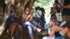 Cubanos se conectan a Internet en un punto WiFi de La Habana. (Yamil Lage /AFP/Archivo)