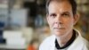 El Dr. Arturo Casadevall, nacido en Sancti Spiritus, es profesor de la Universidad Johns Hopkins de Baltimore, Maryland. (Foto: Universidad Albert Einstein)