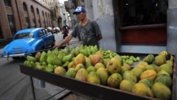 Campesinos se quejan de exclusión de mercado mayorista Campesinos se quejan de exclusión de mercado mayorista