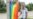 Comunidad LGBTI en Cuba no puede celebrar el Día del Orgullo Gay