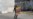 Denuncian presencia de cubanos en centros de tortura en Venezuela (VIDEO)