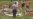 16x9 Image