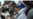 Denuncian 724 arrestos políticos durante mayo en Cuba