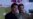 16x9 Image