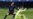 París SG golea al Barça y deja a la MSN al borde del nocaut