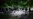 Más de mil cubanos han cruzado la selva del Darién en lo que va de 2022 (VIDEO)