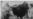 El delirio inseminador de Fidel Castro