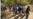 Serán deportados 18 cubanos capturados en el cruce a Honduras