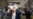 Trump y Biden intensifican campaña en Florida