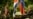 16x9 Image