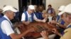 Un grupo de ancianos españolesjuegan al dominó en la Sociedad Canaria de Cuba Leonor Pérez en La Habana.