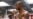 Cubano Erislandy Lara peleará antes de que finalice el 2016